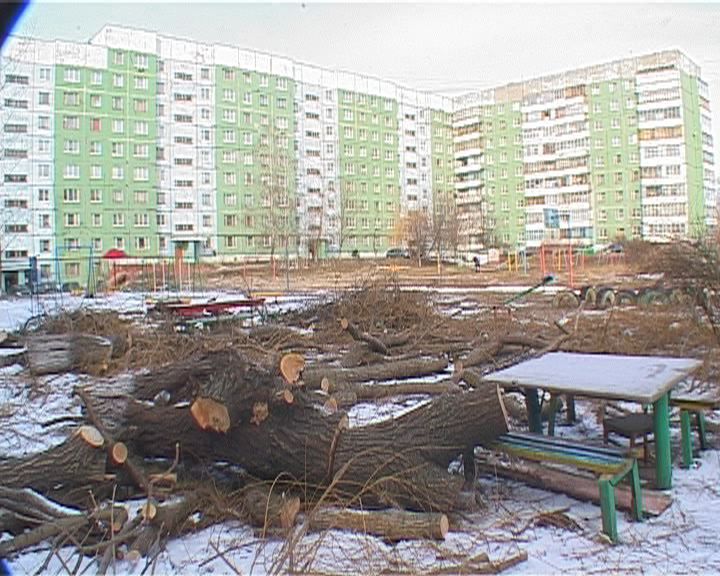 Спилили, а убрать забыли