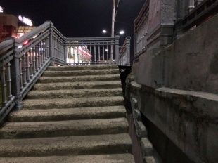 Орел рассчитывает на помощь «Росавтодора» в ремонте Красного моста