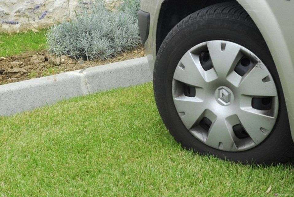 В Орловской области начнут штрафовать за парковку на газонах и детских площадках