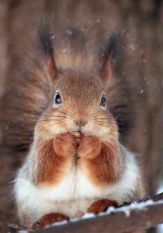 Осенний конкурс