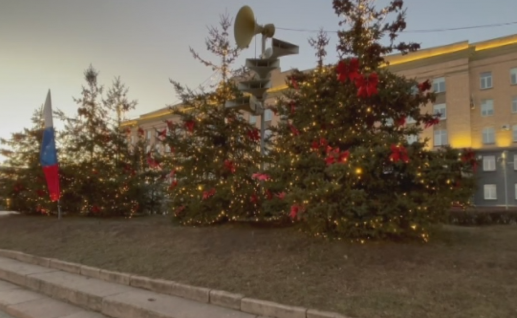 Губернаторский стрим: про елки, которые скоро разбирать, про те, что исчезли, про новый проект по лекарствам и другие темы