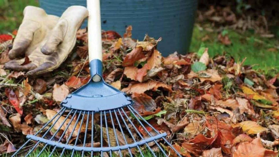 19 октября орловчане выйдут на общегородской субботник