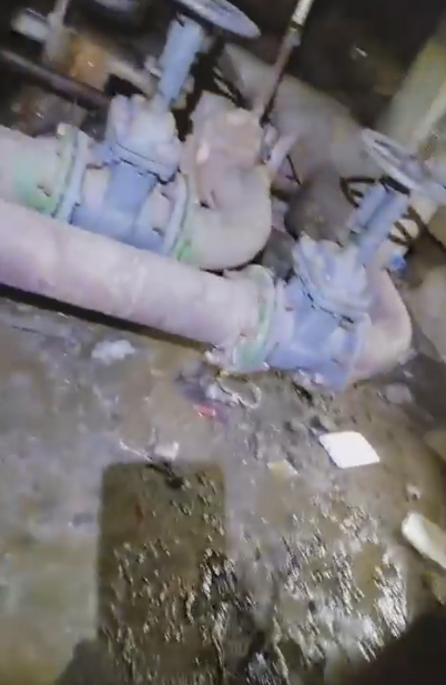 "Стояки забитые,воняет тошнотворным запахом, весь подвал залит го**ом..."