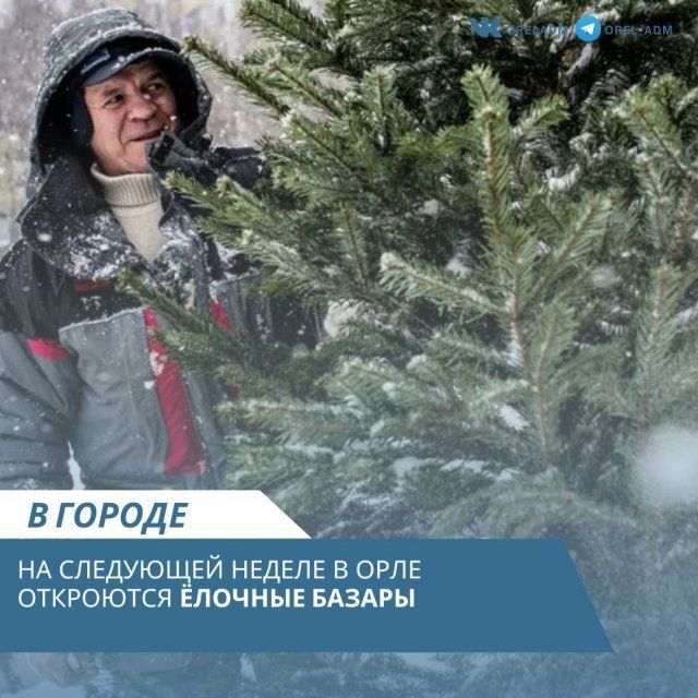 Новый год все ближе. Завтра в Орле открываются елочные базары