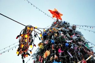 Когда в Орле установят новогоднюю елку? 