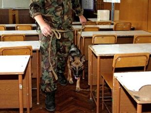 Школа заминирована