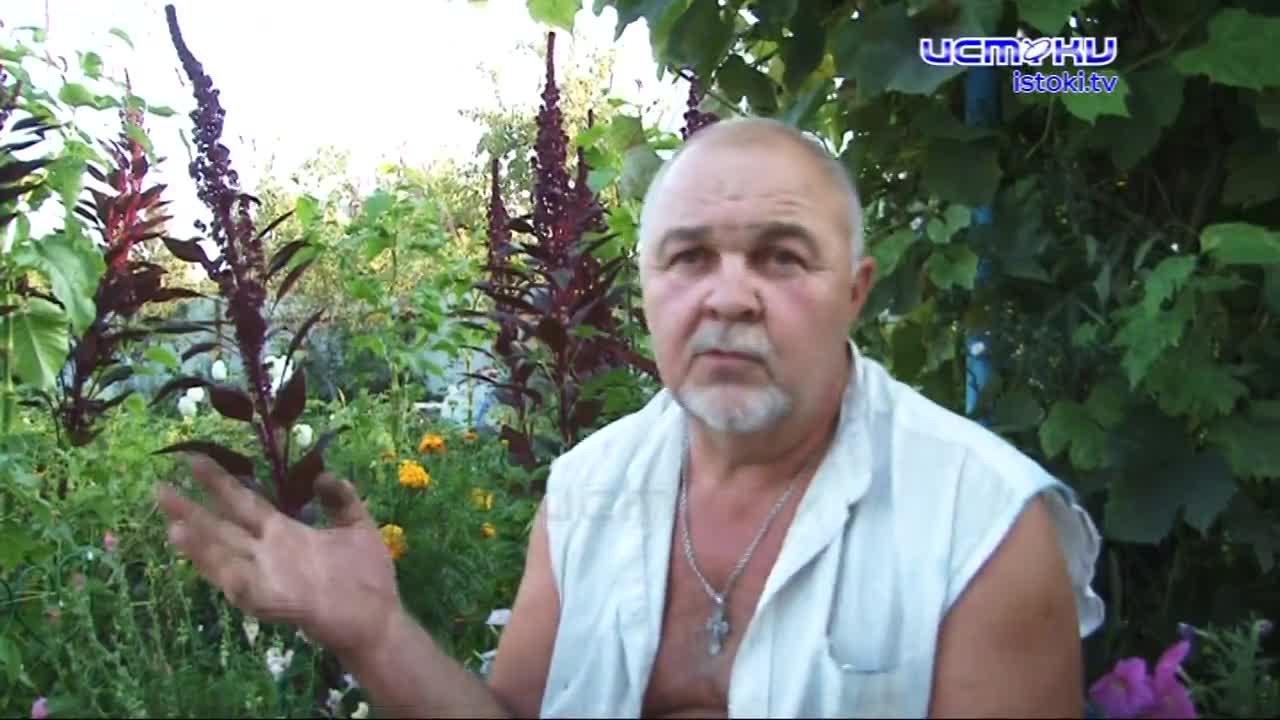 Жители дачного массива "Кораблики" в Железнодорожном районе уже больше недели живут без электричества.