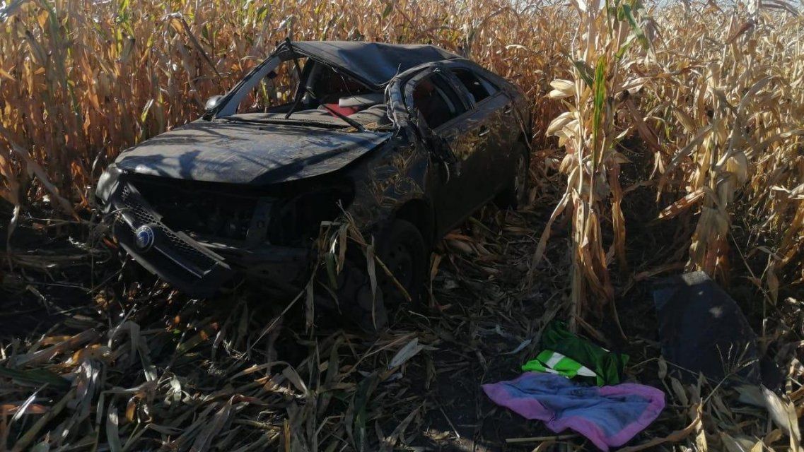 На Орловщине девушка вылетела на иномарке в кукурузное поле