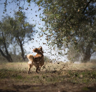В Орловской области ожидаются порывы ветра до 18 м/с