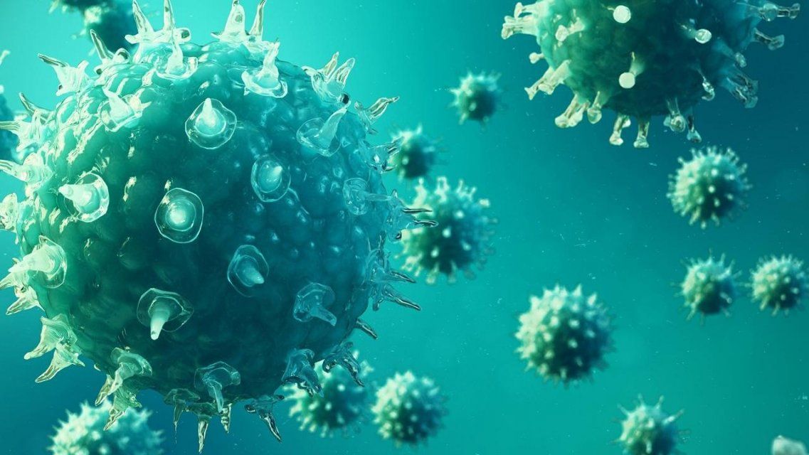 Скоро на Орловщине можно будет сделать тест на антитела к COVID-19