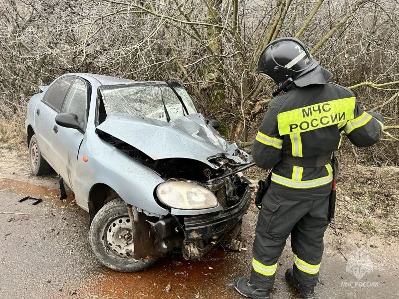 Под Орлом водитель легковушки пострадал при столкновении с деревом