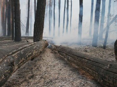 Пожароопасная ситуация