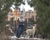 Могилы на будущее: на Наугорском кладбище в Орле заранее занимают участки под захоронения