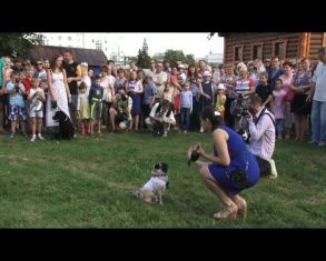 Дворянский парад собак на «Мумуfeste» 