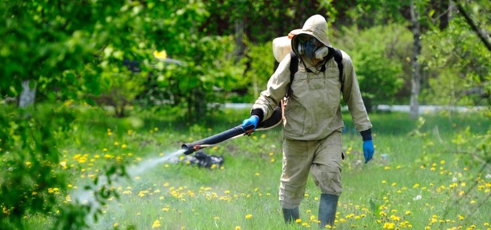 В скверах и парках Орла проведут антиклещевую обработку