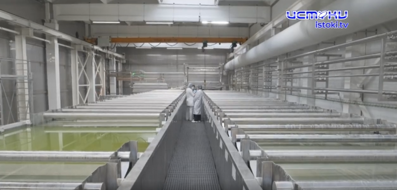 Интересное из мира сыроварения покажем в программе 