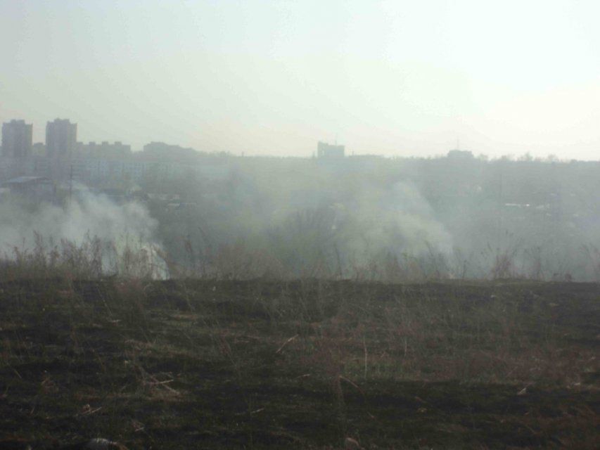 На Орловщине начала гореть сухая трава