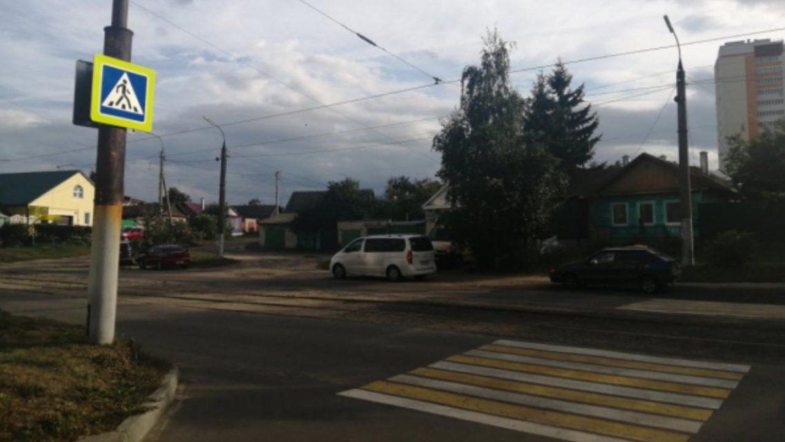 В Орле нашли зебру, угрожающую безопасности детей