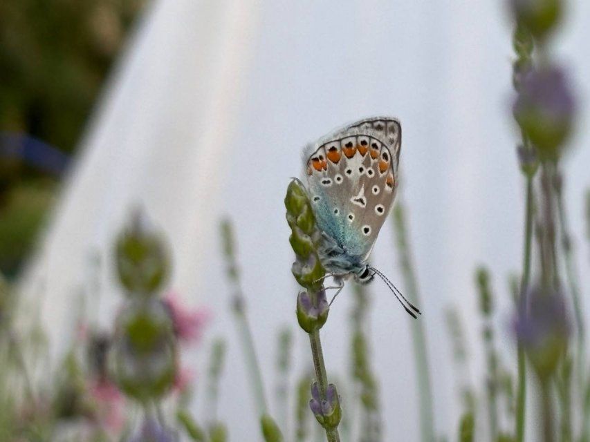 Орловчане не боятся быть одни
