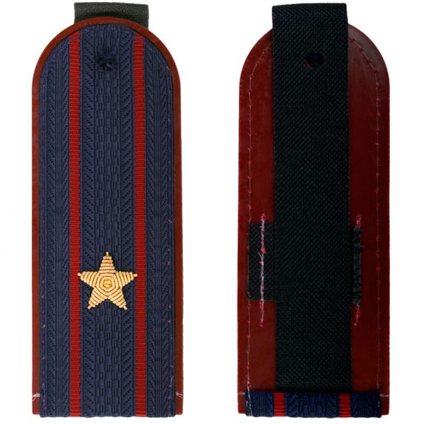 Орловского сотрудника ФСИН повысили до майора за героический поступок