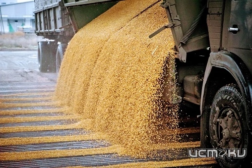 Россельхознадзор проконтролировал более 200 тысяч тонн подкарантинной продукции в Орловской и Курской областях при внутрироссийских перевозках