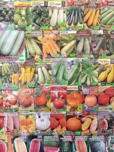 Орловский интернет-магазин торговал запрещенными семенами