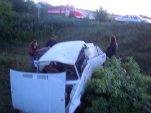 В Корсаковском районе в ДТП погиб водитель автомобиля