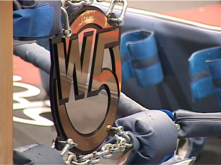 Триумф орловского кикбоксинга на турнире W5