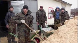 Иностранцы-нелегалы были замечены на территории конно-спортивного клуба