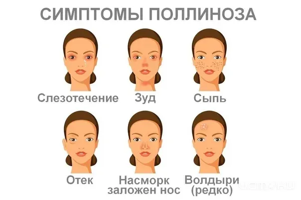 Поллиноз на Орловщине: как пережить цветение