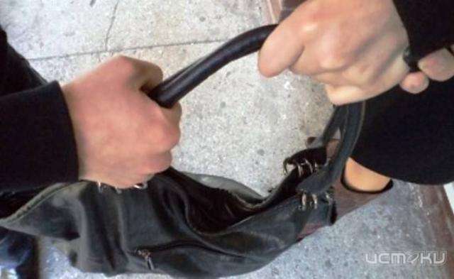 Орловчанин силой отнял сумку у 50-летней женщины