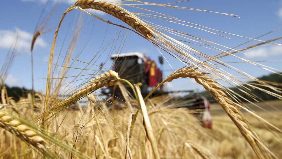 За 3 года на развитие АПК Орловщины направлено 50,6 млрд рублей