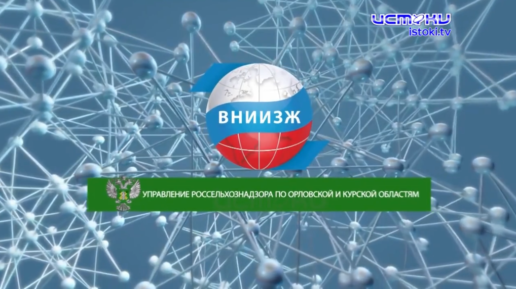 Экспертное мнение 27.08.2025