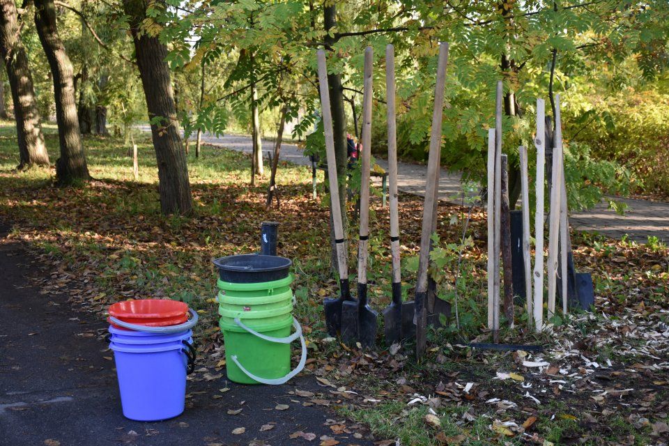 В Орле аллея в честь Клавдии Наумовой пополнилась новыми насаждениями