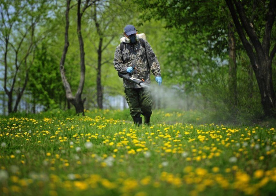 В Орле парки и скверы обрабатывают от клещей