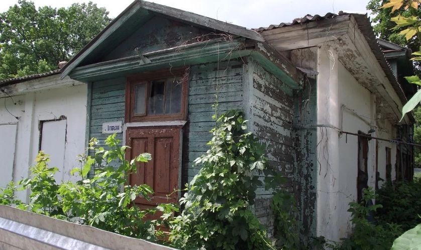В Орле не теряют надежды найти арендатора-инвестора для дома Лизы Калитиной