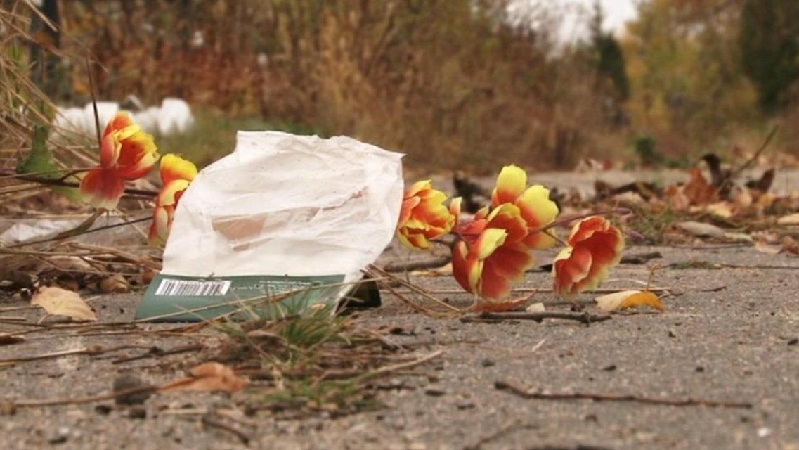 Орловские кладбища погрязли в мусоре