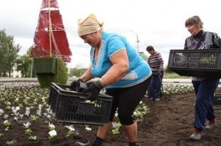 «Зеленстрой» всё-таки продал два своих магазина