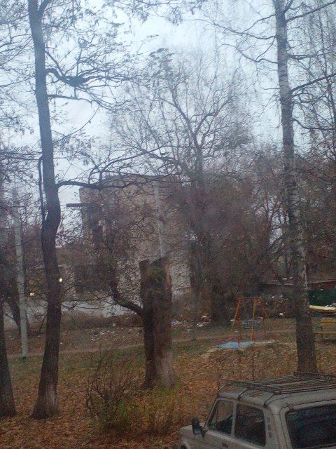 "Мусор не вывозится. Зато сюжет о проведении уроков по экологии компании ,,Зеленая роща"для учеников в 34 школе по Орловским Вестям показывали"