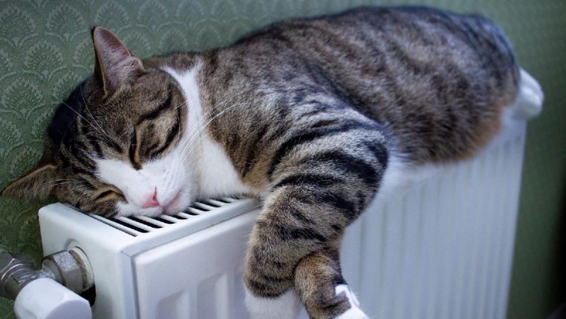 В Орле отопление включили в 40 % жилых домов