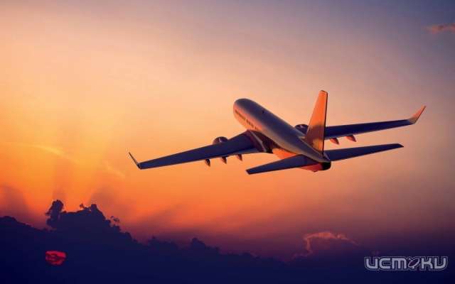 За границу с чистой совестью 