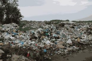 Не хотите убирать свалки - суд обяжет
