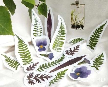 Наклейки из засушенных растений можно будет смастерить сегодня в Орловской гильдии мастеров