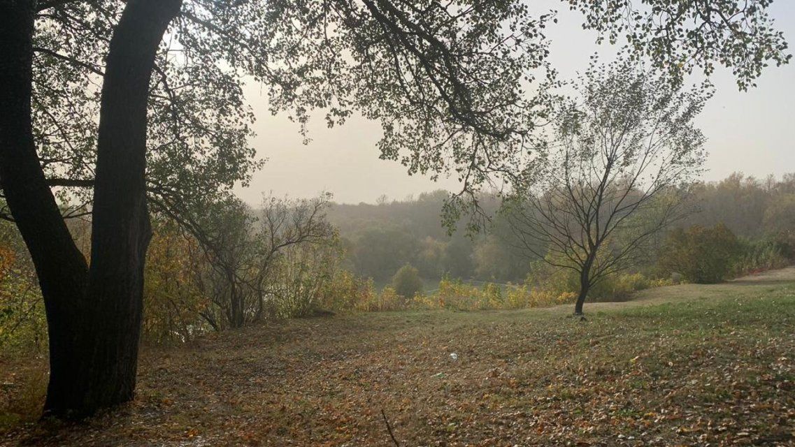 На Орел постепенно надвигается настоящая осенняя погода