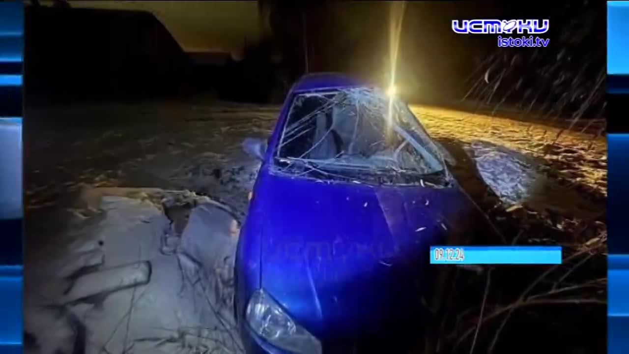 Дайджест 14.12.2024