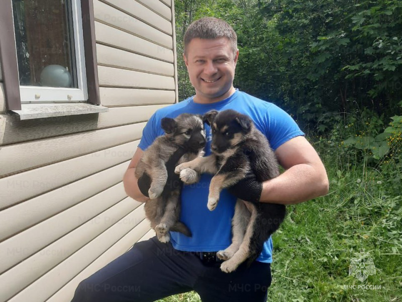 Орловские спасатели пришли на помощь пушистым малышам