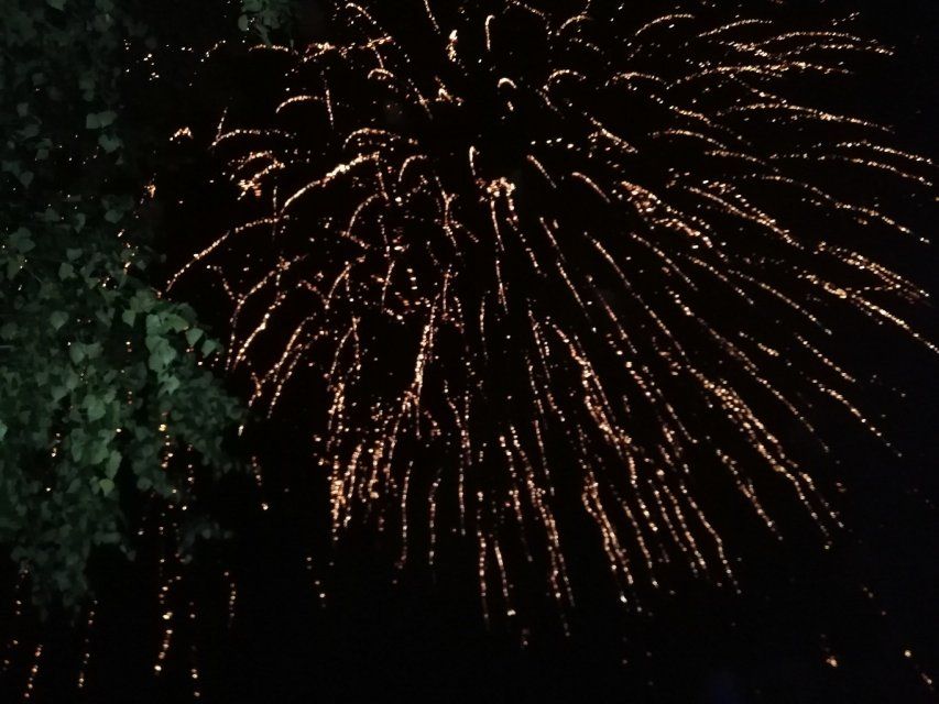 В Орловской области запретят продажу пиротехники