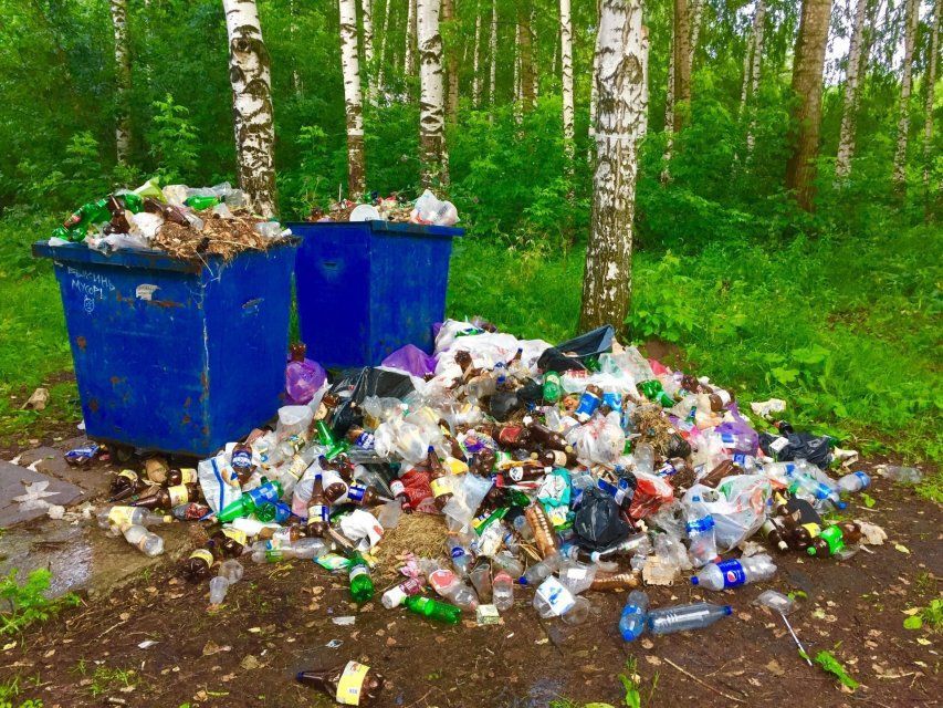 Прокуратура помогла ликвидировать свалку под Орлом