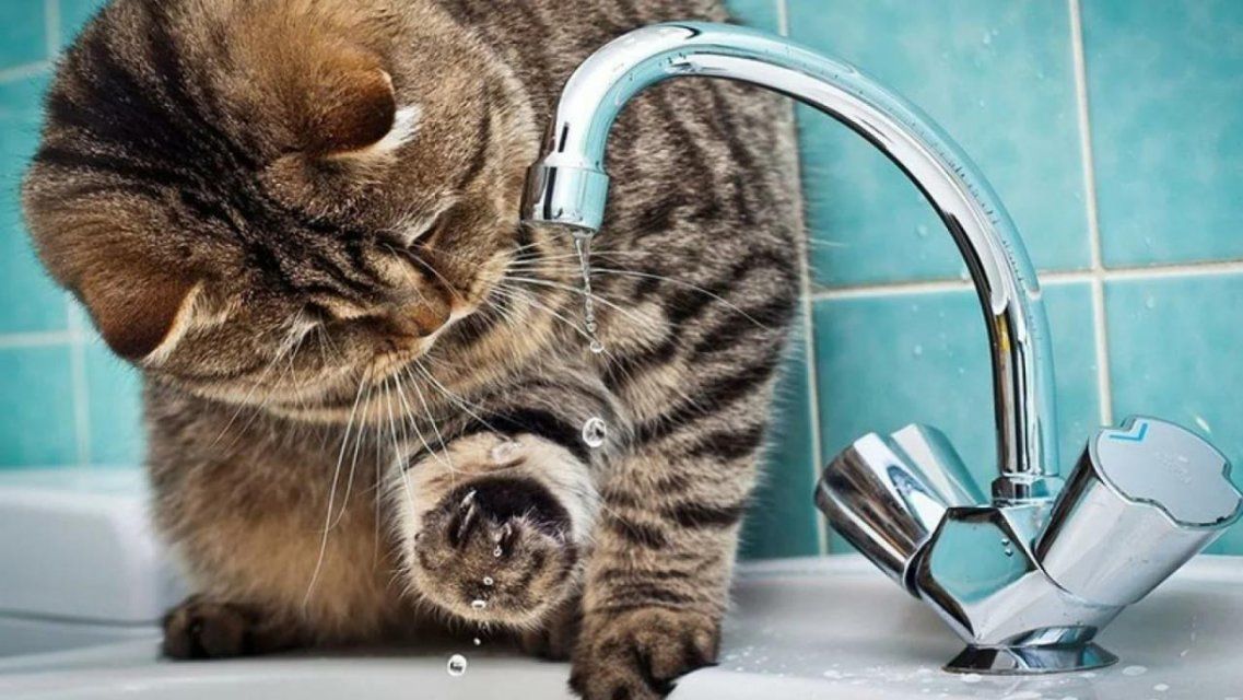 В мае орловчан не оставят без воды