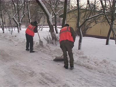 Дворовые проблемы